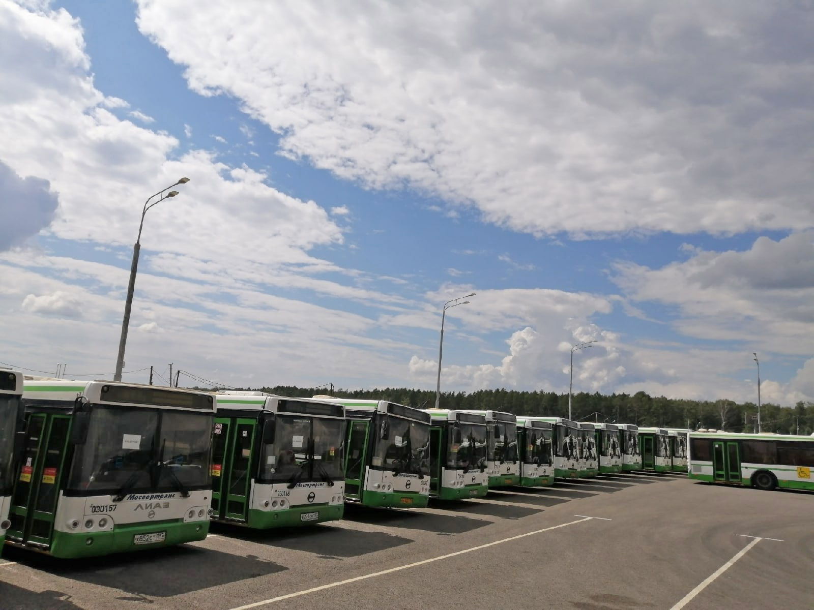 Moscowbuses.jpg