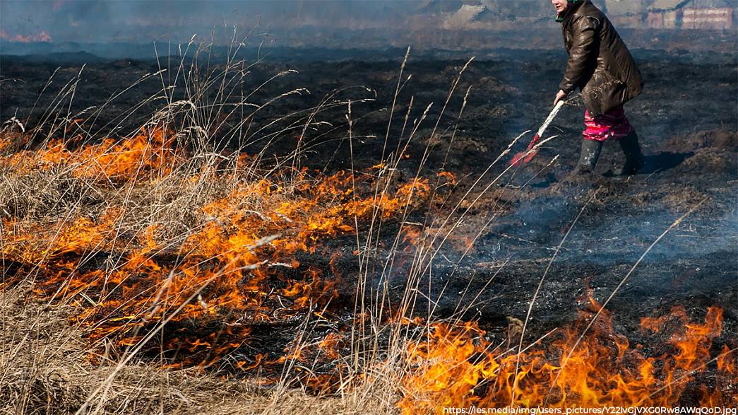 Жительница Муромского района сжигала траву в огороде и попала в реанимацию с сильными ожогами