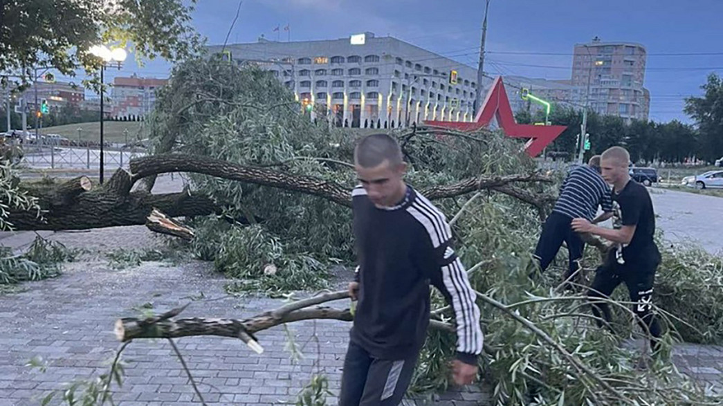 Поваленные деревья и оборванные провода: Владимирская область второй день подряд испытывает, что такое гроза после жары
