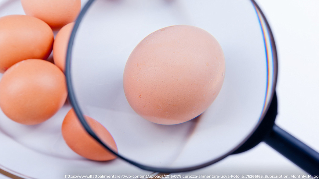 Во Владимирской области стали производить меньше яиц