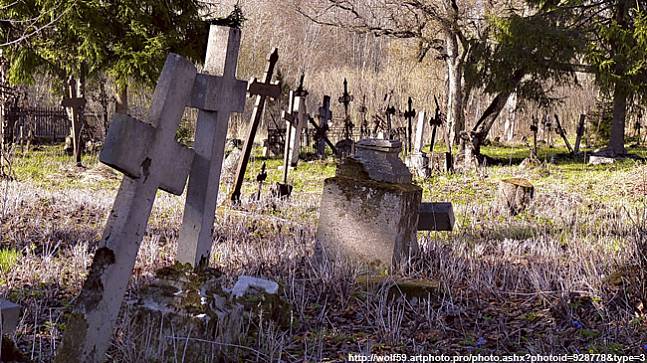 Тело убитого коллекционера Иголкина нашли на кладбище