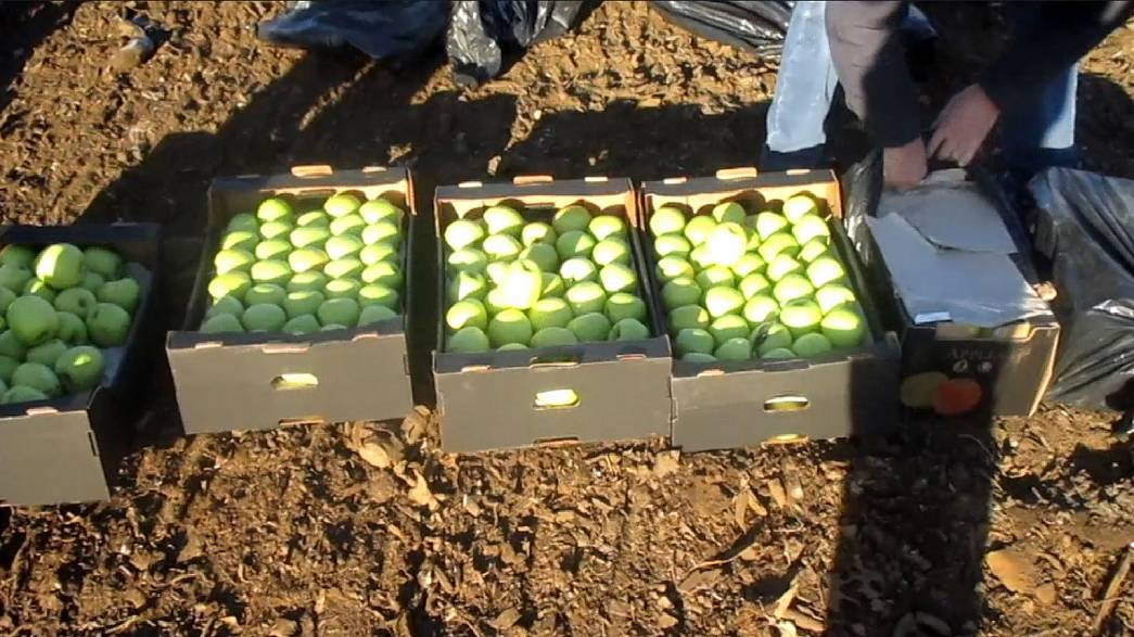Во Владимирской области с начала года раздавили на свалках почти 14 тонн санкционных продуктов