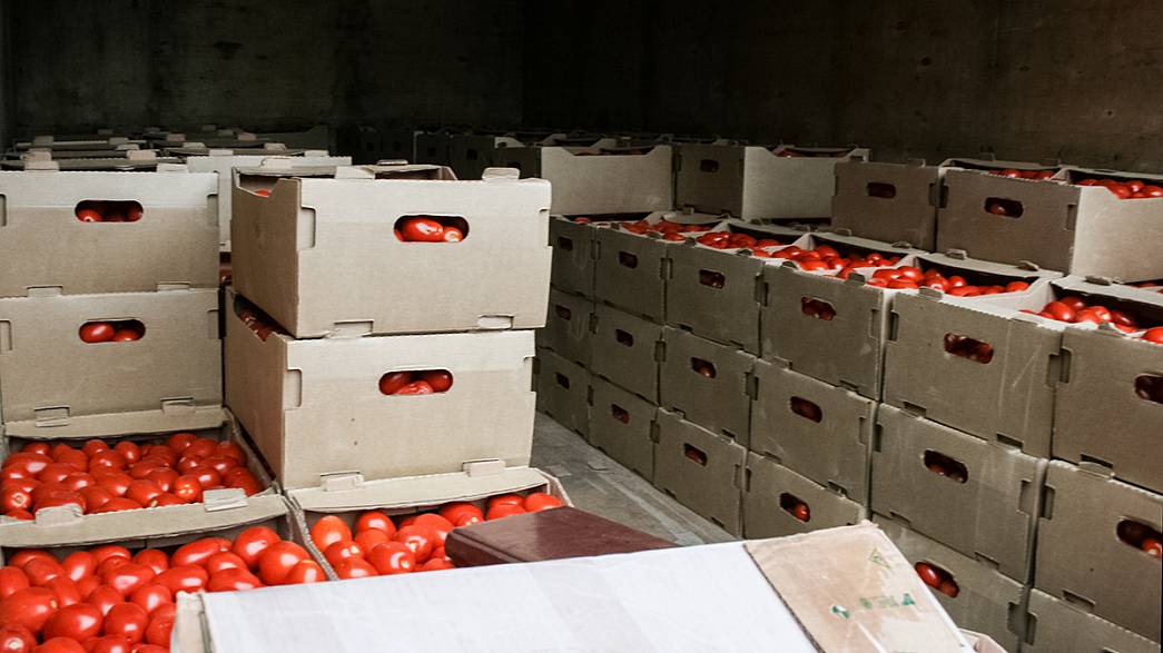 На Марьинском полигоне уничтожили 873 килограмма томатов