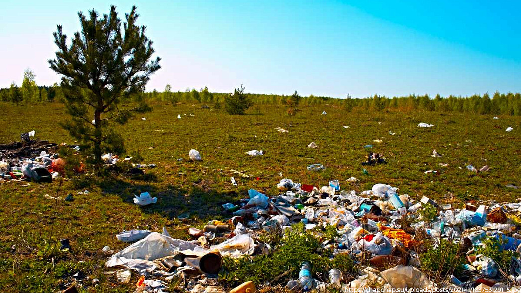 Гектары владимирских полей завалены мусором