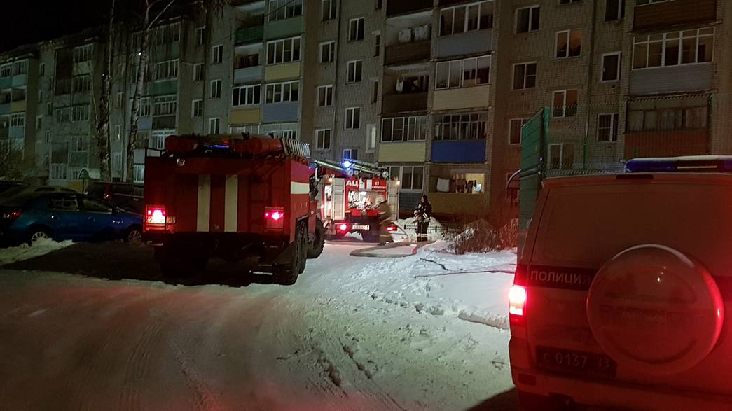 На пожарах в Гороховце и Камешкове погибли три человека