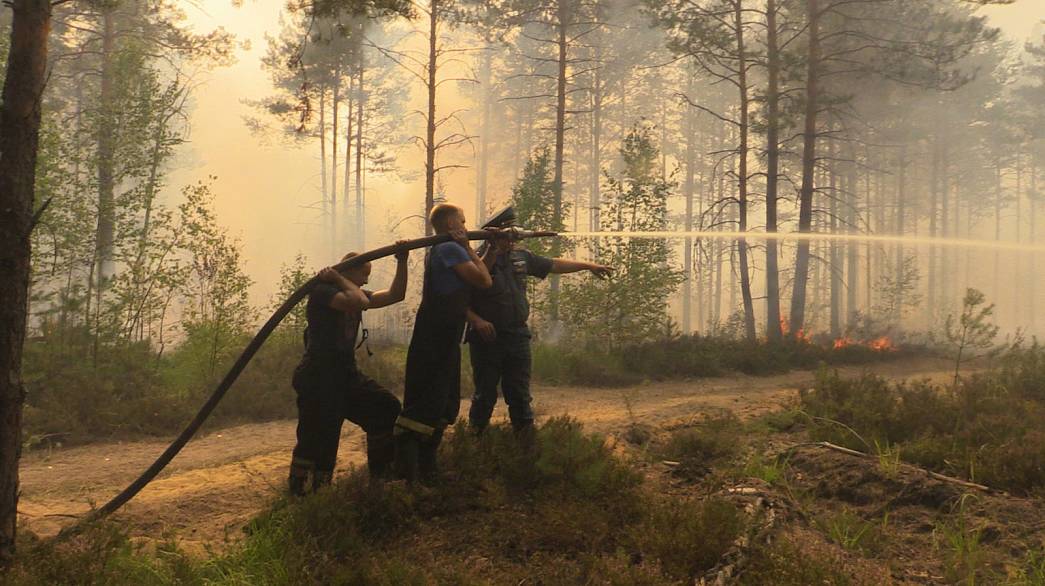 МЧС: «Пожар в Петушинском районе локализован»