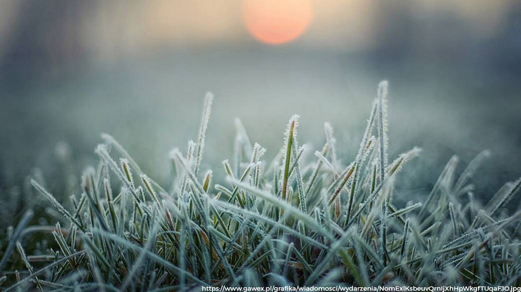 Во Владимирской области в ближайшие дни прогнозируются ночные заморозки