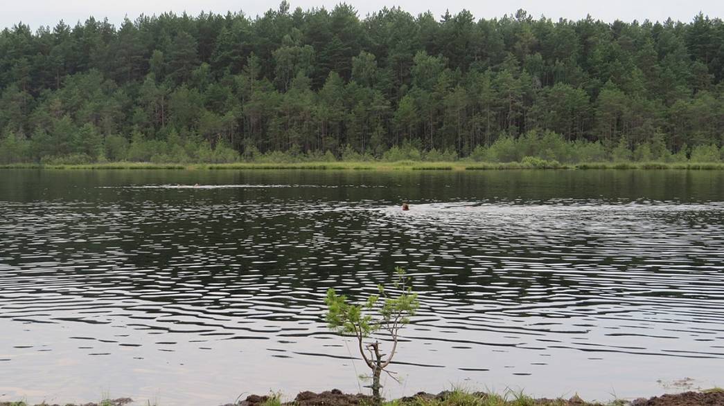На озере Плавучее во владимирском микрорайоне Мостострой утонул 20-летний молодой человек