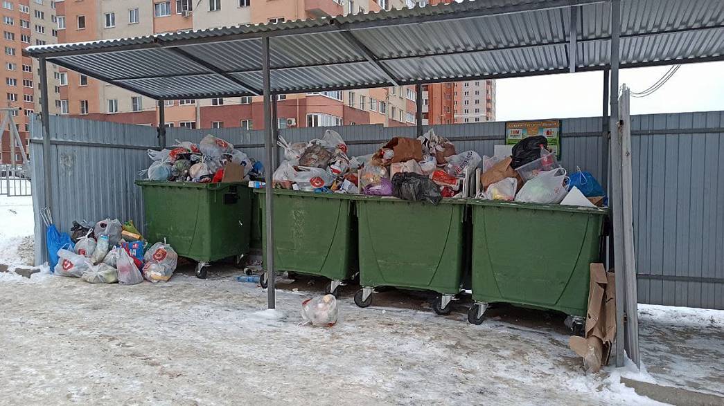 Ожидает ли город Владимире в новогодние праздники повторение мусорного коллапса?