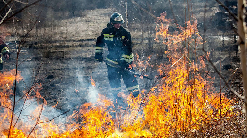 Во Владимирской области расследуют пять уголовных дел по лесным пожарам
