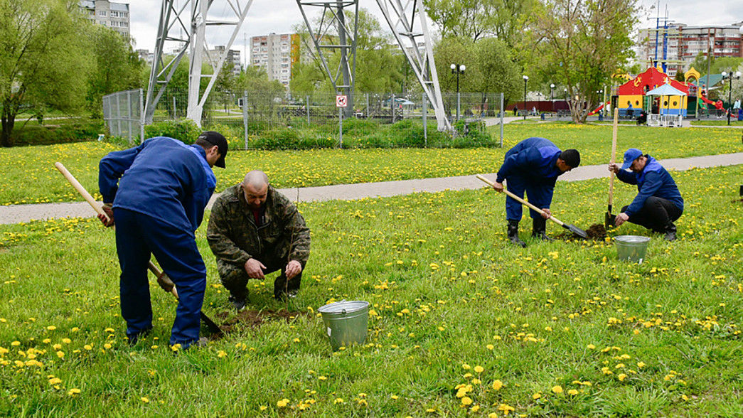 Азербайджанец подарил городу Владимиру 60 деревьев