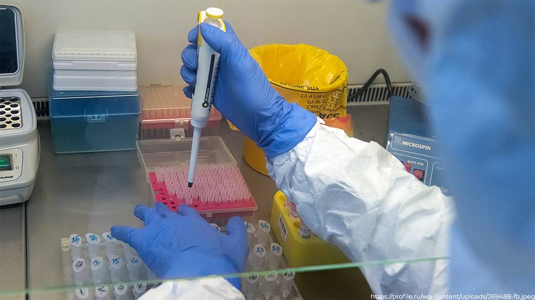 Во Владимирской области государственная система здравоохранения сможет проводить около 45 тысяч исследований на коронавирус в месяц