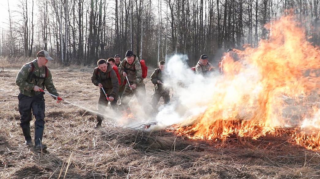 МЧС упрекает муниципалитеты Владимирской области в бездействии при тушении ландшафтных пожаров