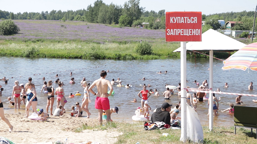 Более 70% жителей Владимирской области купаются в водоёмах, где это не разрешено. Из-за этого растет количество утонувших