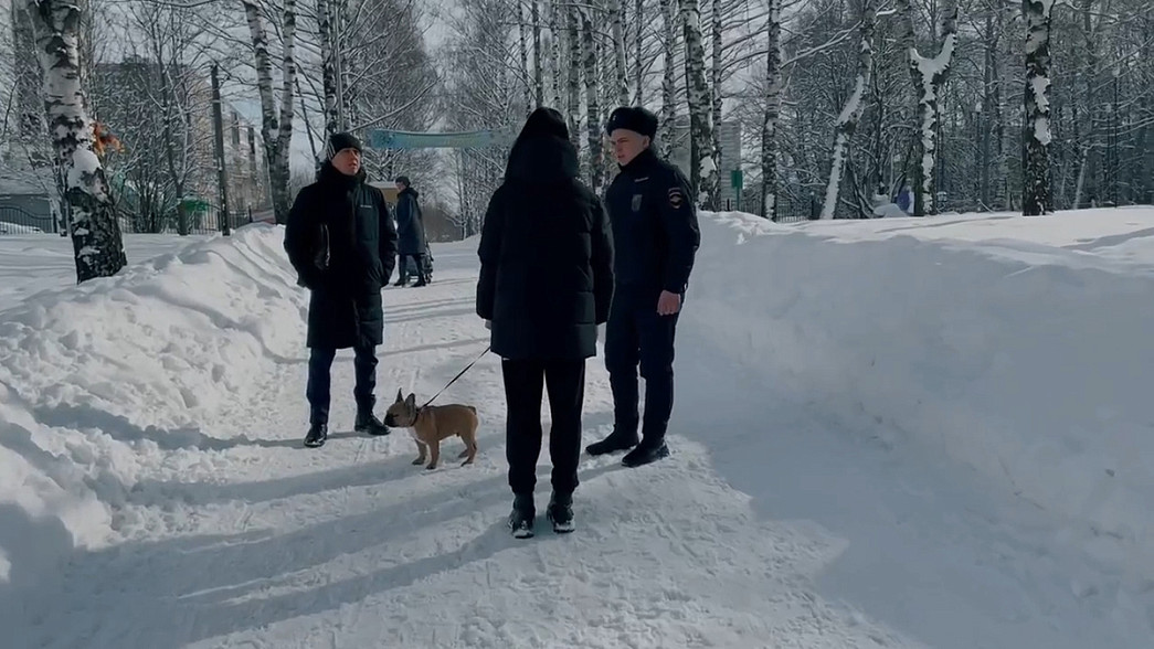 Чиновники и полиция вышли на улицы Владимира, чтобы проверять, насколько правильно горожане выгуливают собак
