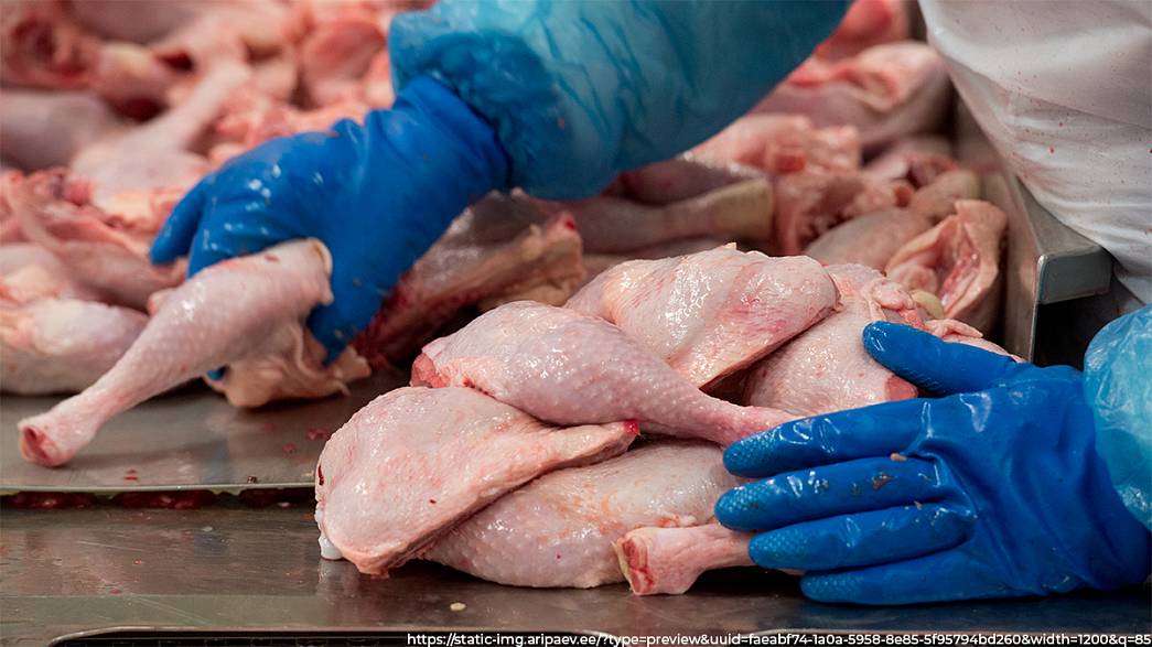 Жители Мурома съели более тонны курятины и индейки с истёкшим сроком годности
