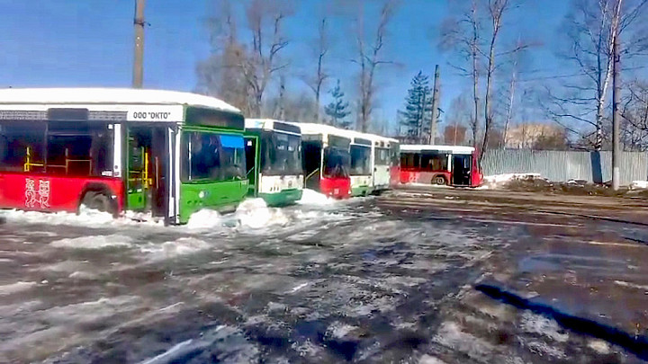 Приставы арестовали автобусы  «ОКТО», ушедшей с рынка пассажирских перевозок