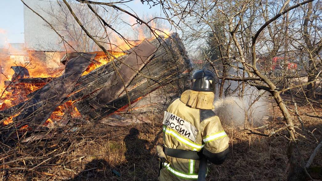 Во Владимирской области от брошенного окурка едва не сгорела деревня. Общая пожарная обстановка в регионе накаляется