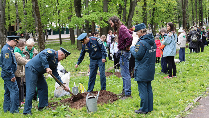 В Центральном парке Владимира высадили дубы взамен вырубленных ясеней