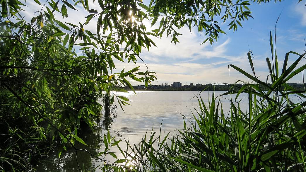 Жители ставят под сомнение выводы прокуратуры о причинах массовой гибели рыбы в Рукавском озере