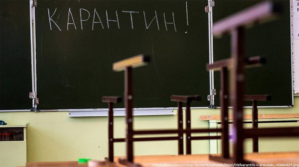 В восьми школах и восьми детсадах Владимирской области классы и группы отправлены на карантин по коронавирусу
