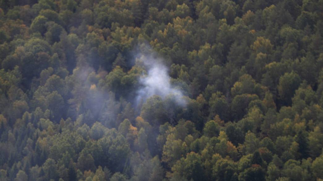 Горение владимирских лесов оценили с воздуха
