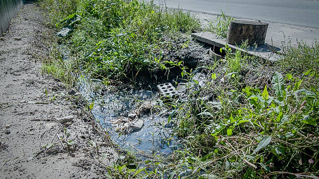 Барскому пруду рядом с усадьбой Храповицкого в Муромцево угрожают «реки из фекалий»