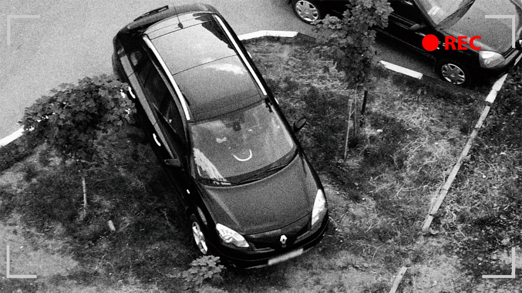 Чтобы наказать водителя за парковку на владимирском газоне потребуется только фиксация автоматической камерой