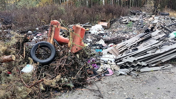 Прокуратура требует ликвидировать пять свалок вокруг села Малышево Селивановского района