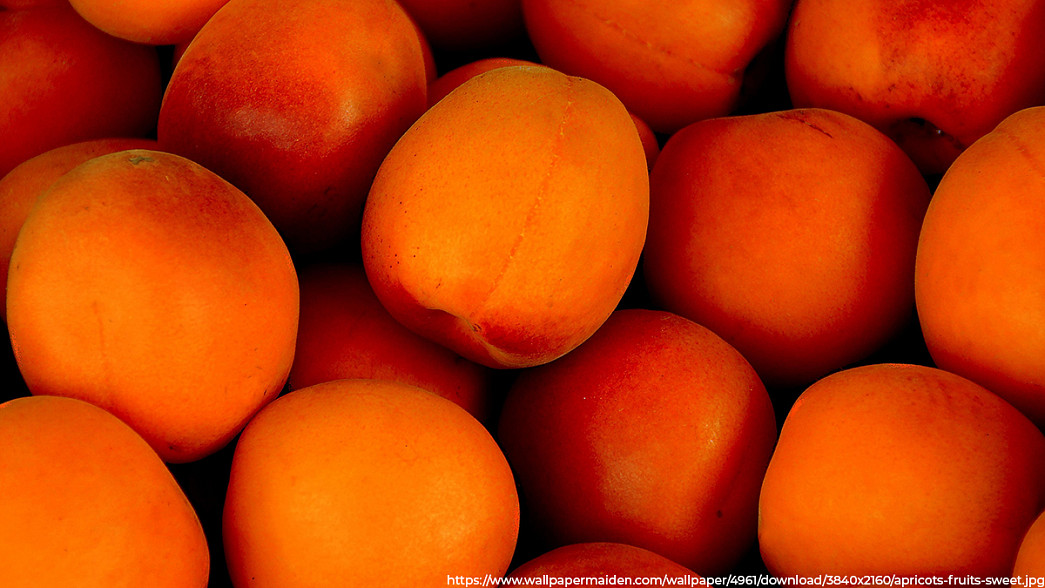 Владимирские фермеры пытаются выращивать персики в зоне рискованного земледелия