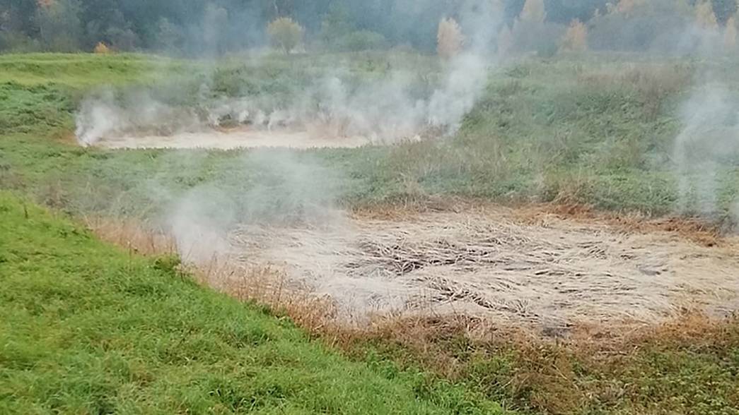 В Александровском районе горит торфяник. Жители жалуются на едкий запах