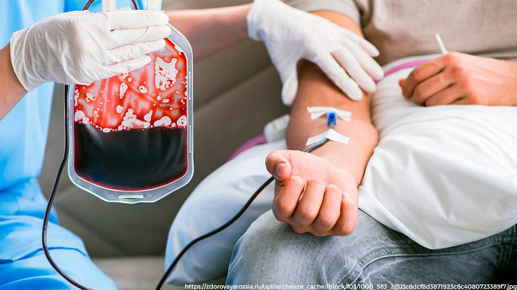 Во Владимирской области 13 человек, перенесших коронавирус, сдали иммунную плазму крови для помощи тяжелобольным
