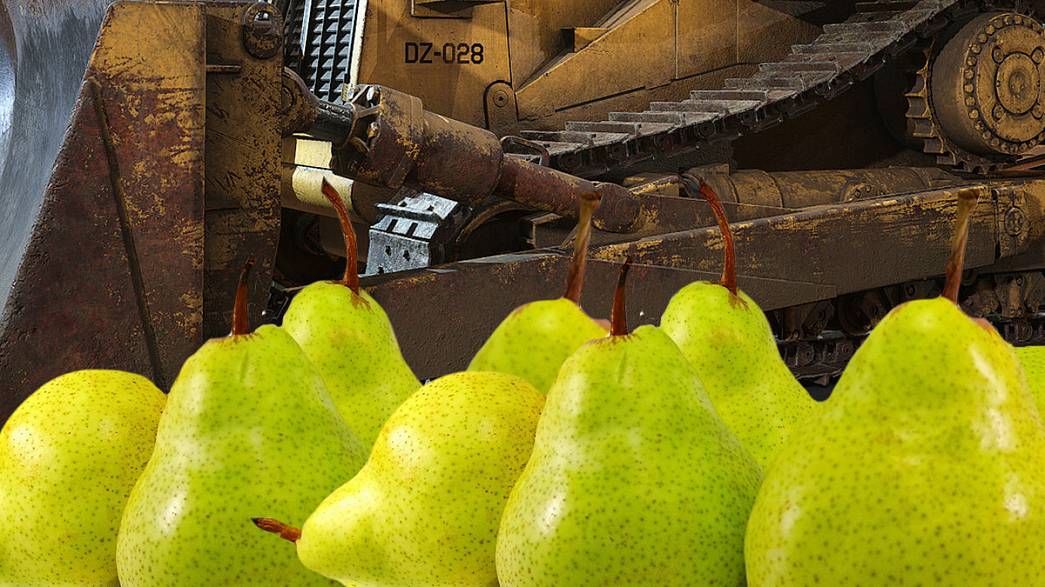 Во Владимирской области уничтожили 30 килограммов санкционных фруктов