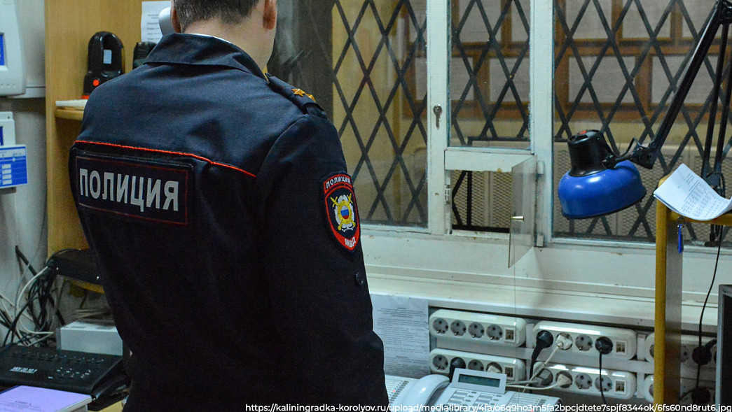 Все районы Владимирской области проверят на сокрытие полицейскими сообщений о преступлениях
