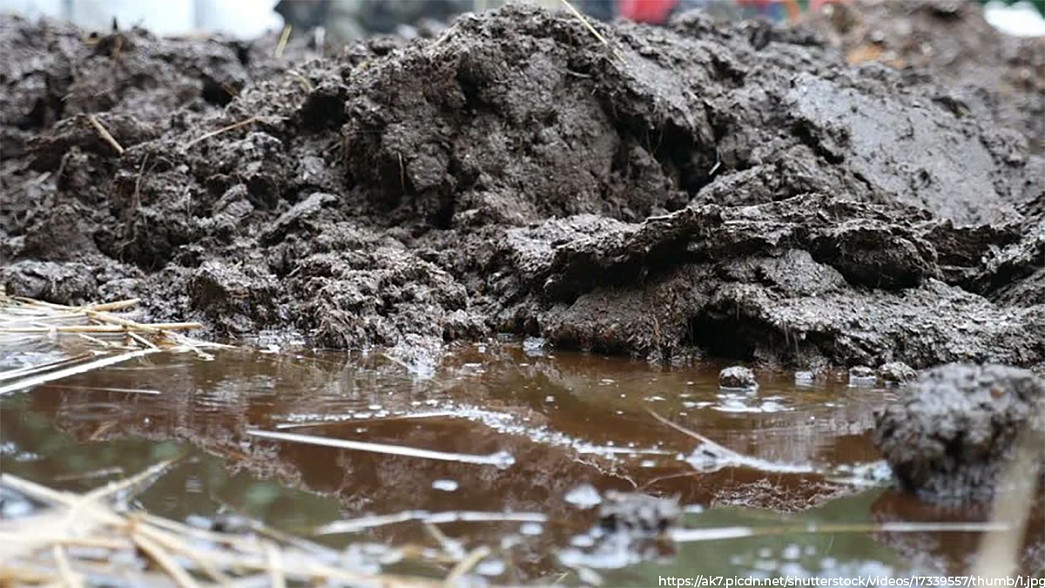 Прокуроры пытаются защитить владимирские реки от попадания навоза с полей во время паводка