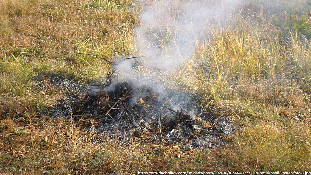 Во Владимирской области вводят запрет на разжигание костров