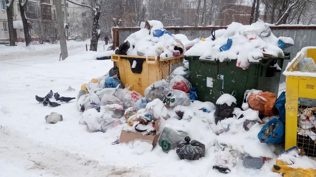 Областной прокурор о вывозе мусора: «Произошёл коллапс безделья»
