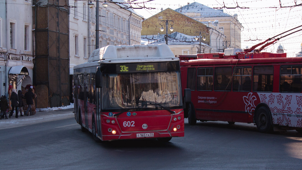 Городу Владимиру пообещали еще 20 «газобусов и дизелей»