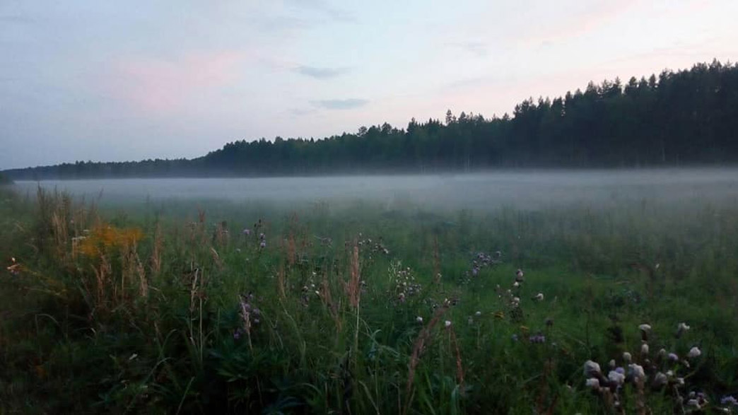 За год во Владимирской области нашли более 21 тысячи гектаров неиспользуемых сельхозугодий