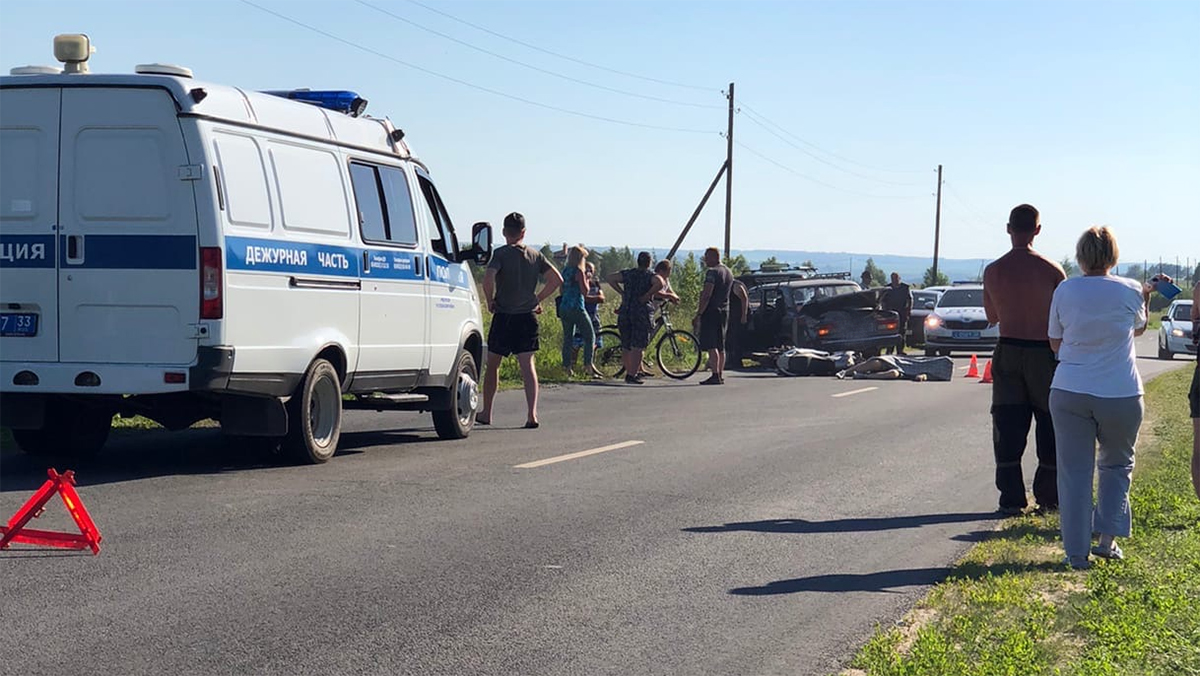 На дорогах Владимирской области гибнут мотоциклисты и лоси