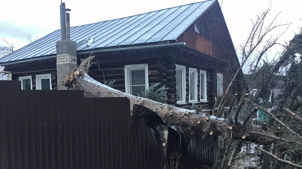 Результат штормовых суток во Владимирской области: порывы ветра валили деревья, остановки и рекламные щиты, но обошлось без массовых отключений света