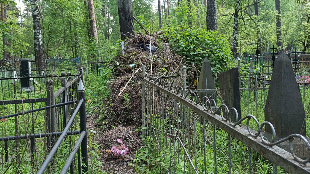 Ковровская прокуратура настаивает на вывозе мусора с закрытого городского кладбища