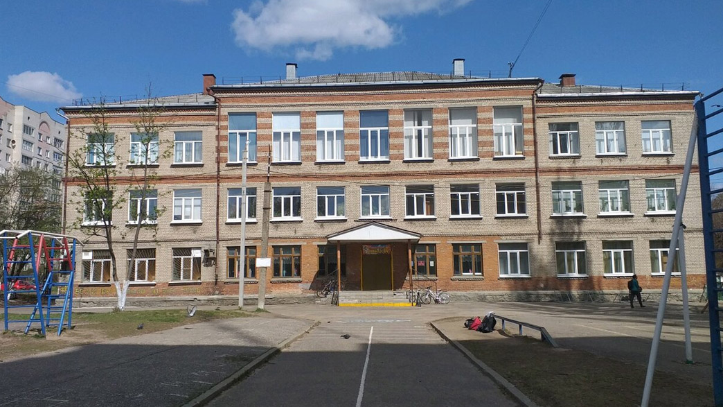 В одной из крупнейших школ Владимира вспышка неустановленной инфекции. Все ученики переведены на дистант