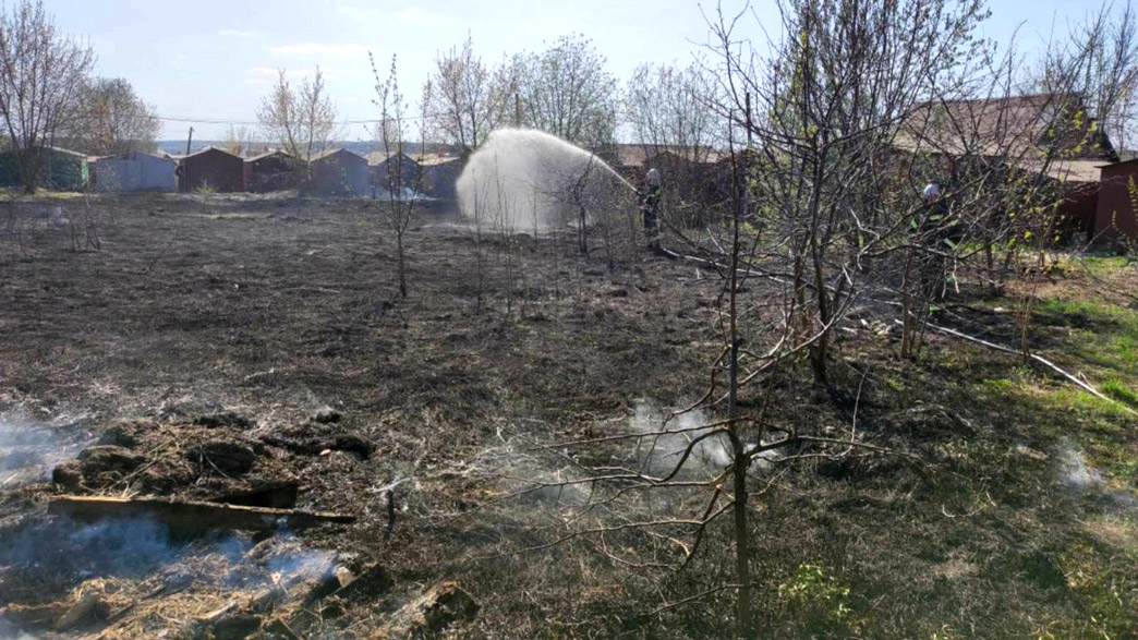 Ландшафтные пожары охватили десятки гектаров Владимирской области