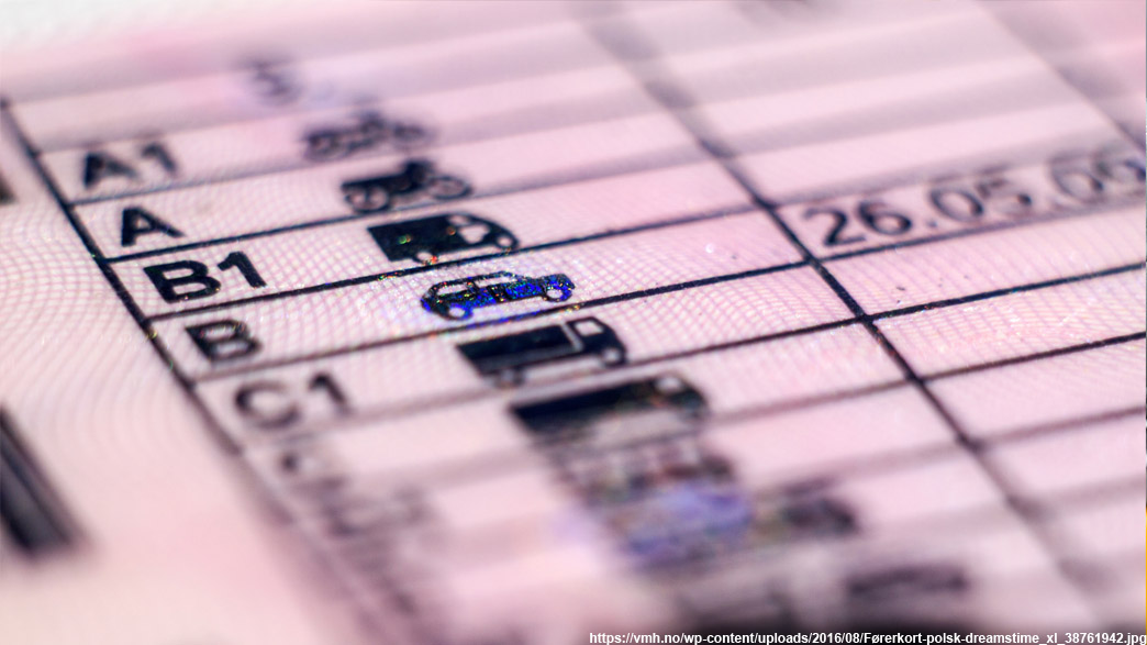 Директор владимирской автошколы второй раз попался на продаже документов для получения водительских прав