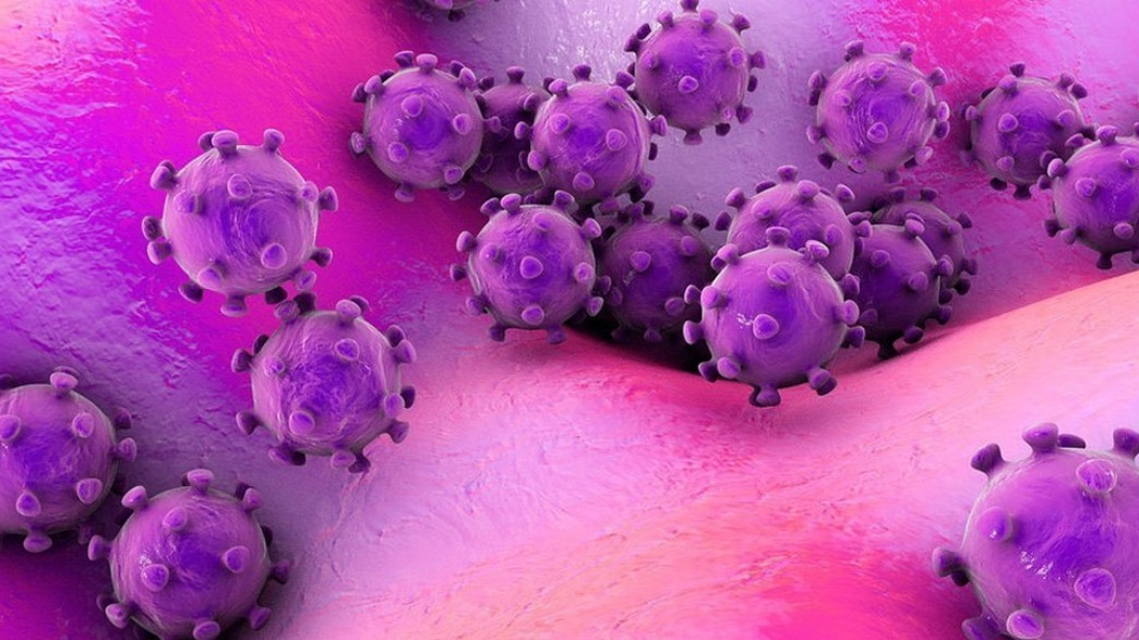 За сутки число зараженных коронавирусом владимирцев выросло на 67 человек