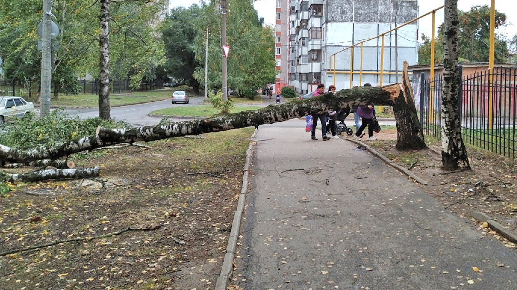 Владимирцев предупреждают о высокой вероятности штормового ветра, который может стать причиной чрезвычайных происшествий
