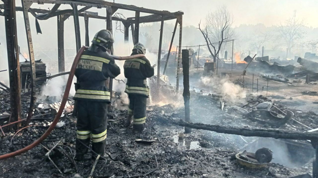 В результате крупного пожара во Владимирской области сгорели хозяйственные постройки, машины и животные на площади 1,5 тысячи квадратных метров