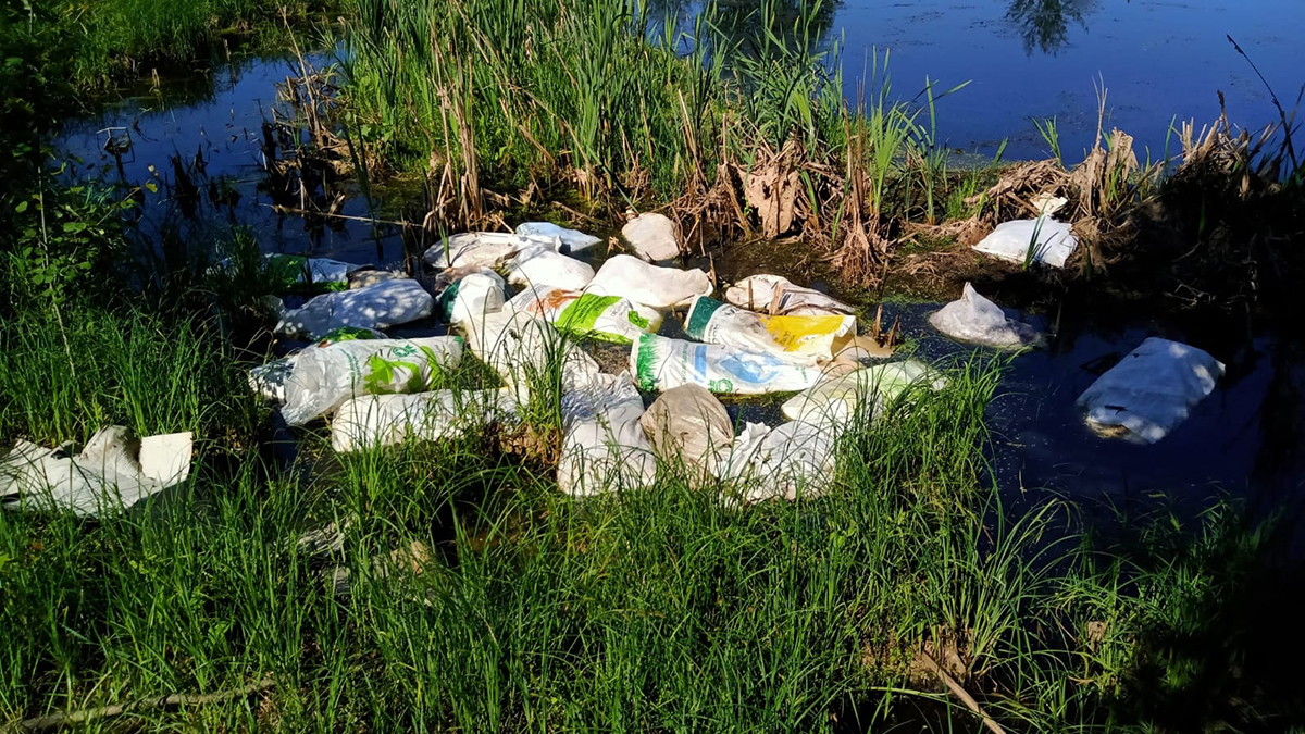 Сотню трупов домашних уток, упакованных в мешки, сбросили в воду - новости  Владимирской области