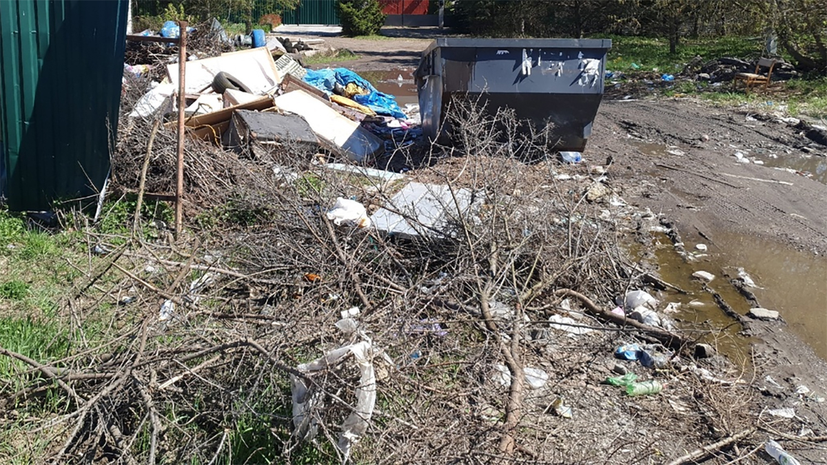 Новый очаг «мусорного» недовольства — в Струнино